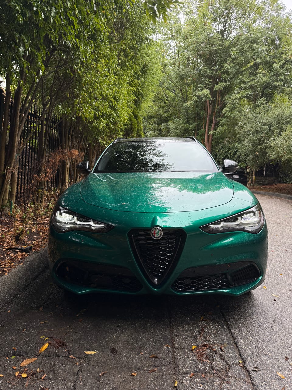 The Union of the Snake: What's Up with Alfa Romeo?